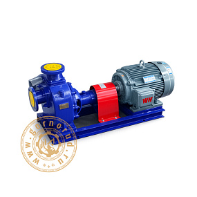 Насос 80ZX60-70